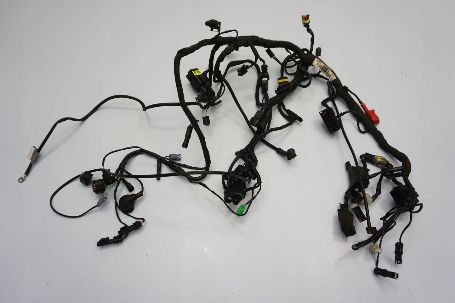 BMW G 310 GS 17- Kabelbaum Wiring Harness 8