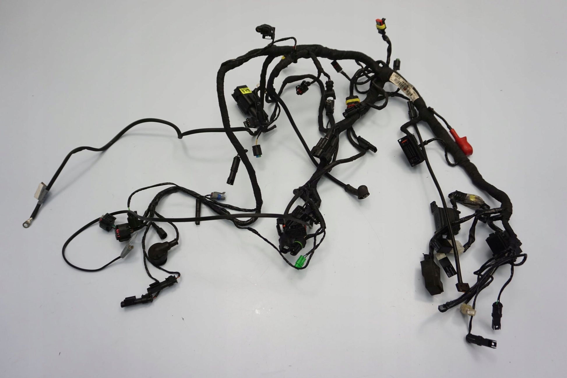 BMW G 310 GS 17- Kabelbaum Wiring Harness 8