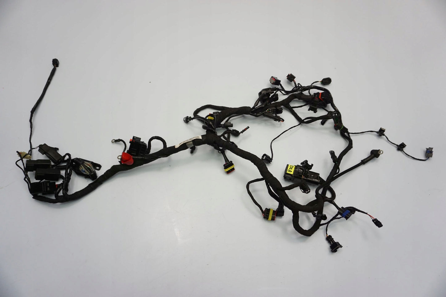 BMW G 310 GS 17- Kabelbaum Wiring Harness 3