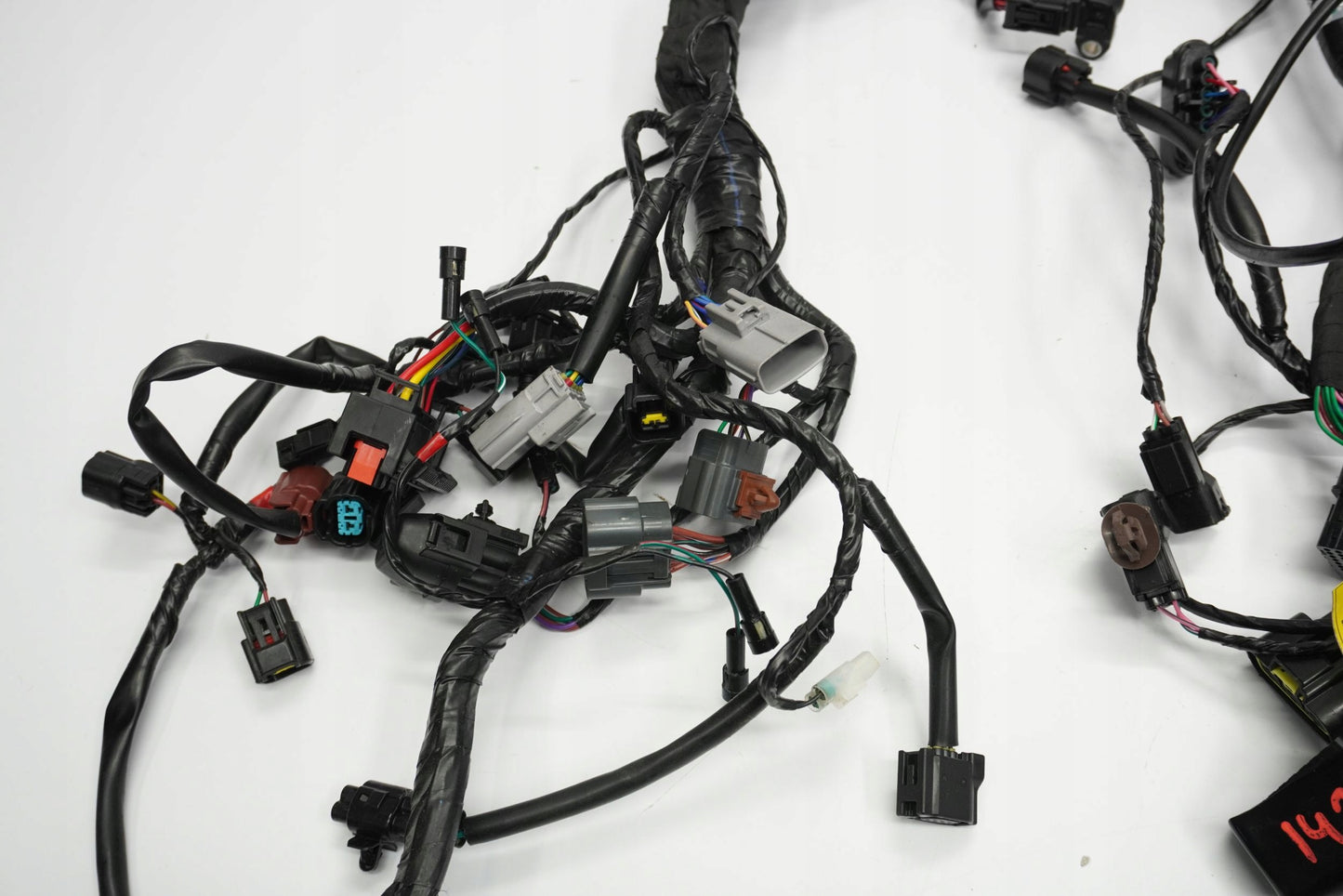 TRIUMPH TRIDENT 660 21- Kabelbaum Wiring Harness 5