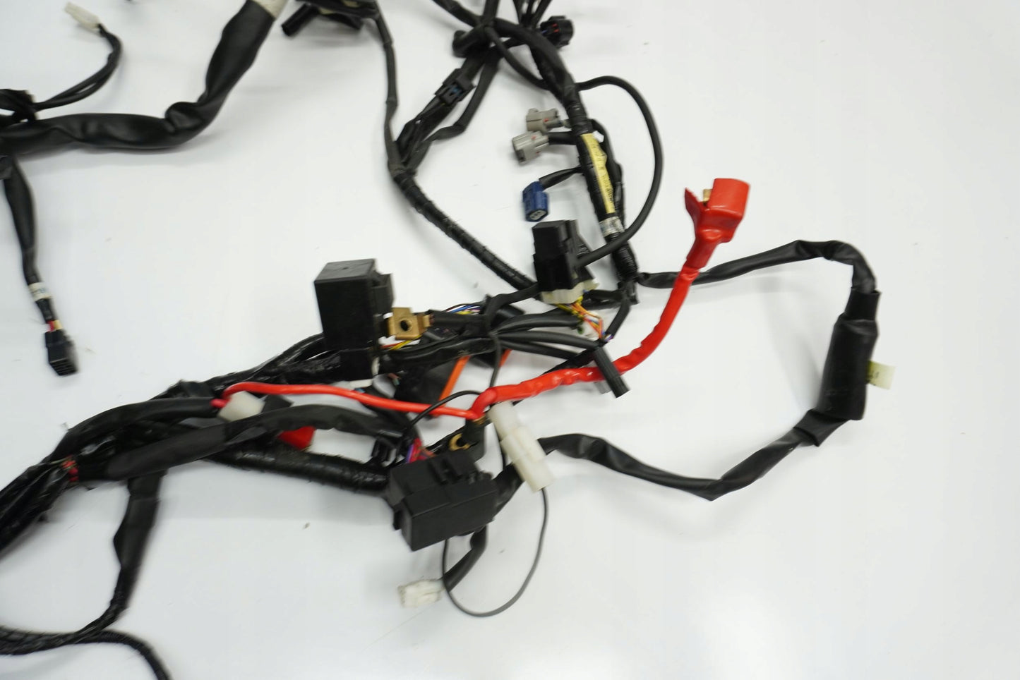 YAMAHA XJR 1300 RP19 RACER 15-16 Kabelbaum Wiring Harness 11