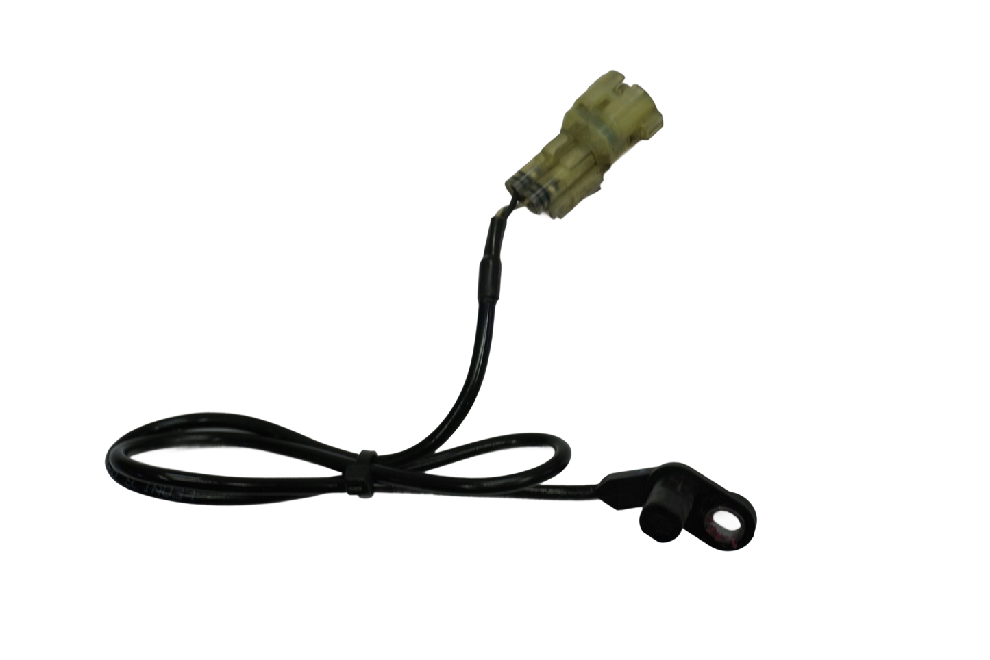 TRIUMPH ROCKET 3 R 20- ABS Sensor hinten 1