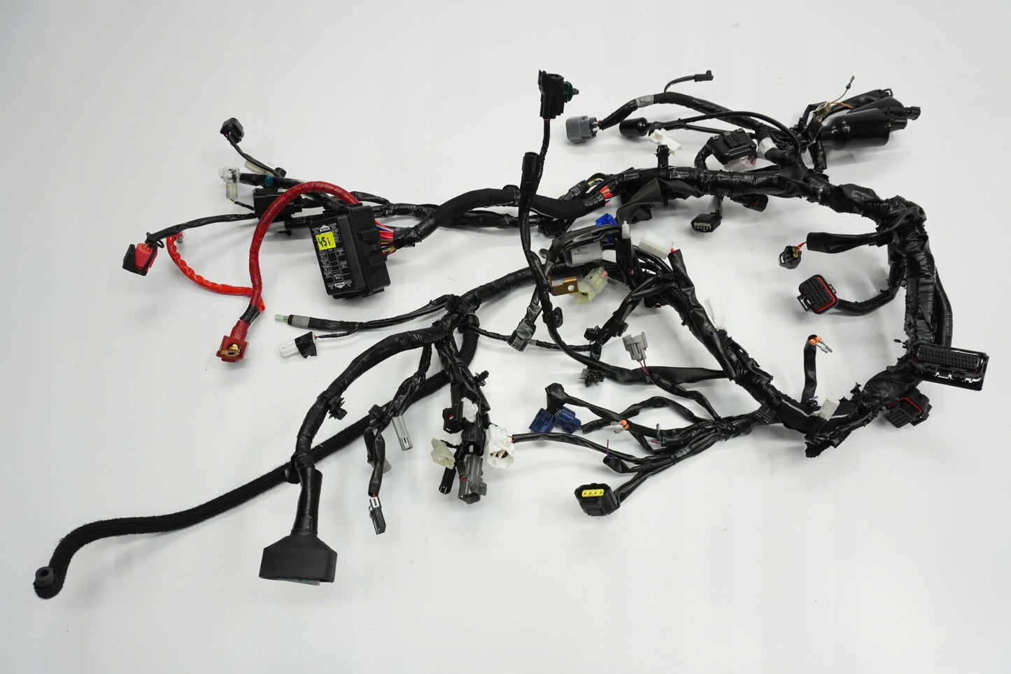 YAMAHA MT-09 SP 21-23 Kabelbaum Wiring Harness 10