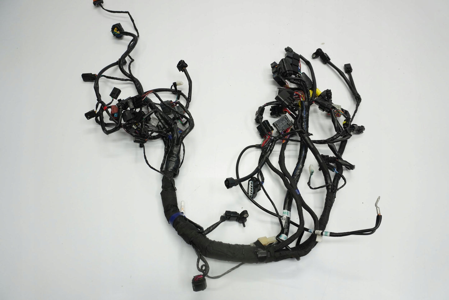 TRIUMPH TRIDENT 660 21- Kabelbaum Wiring Harness 7