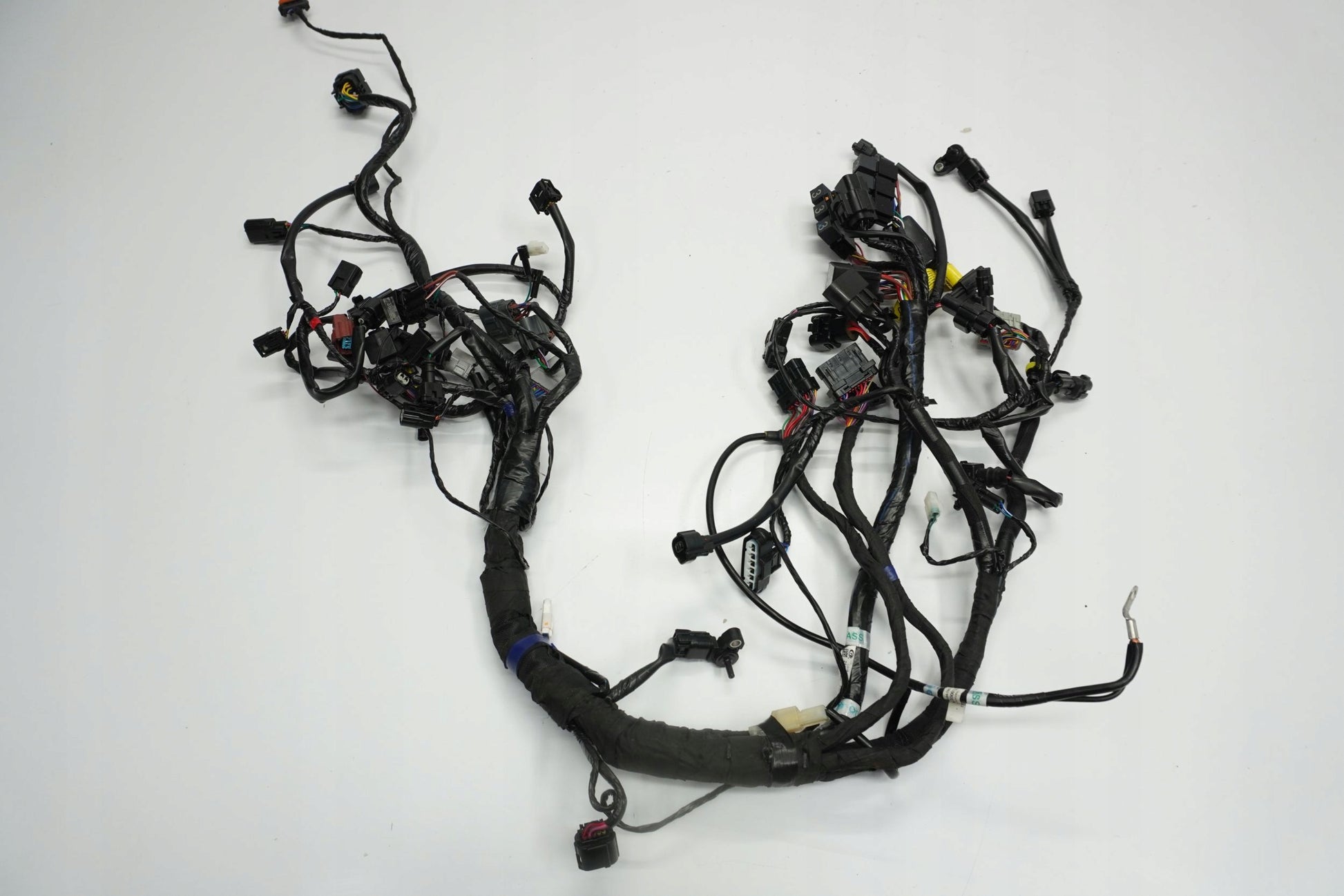 TRIUMPH TRIDENT 660 21- Kabelbaum Wiring Harness 7