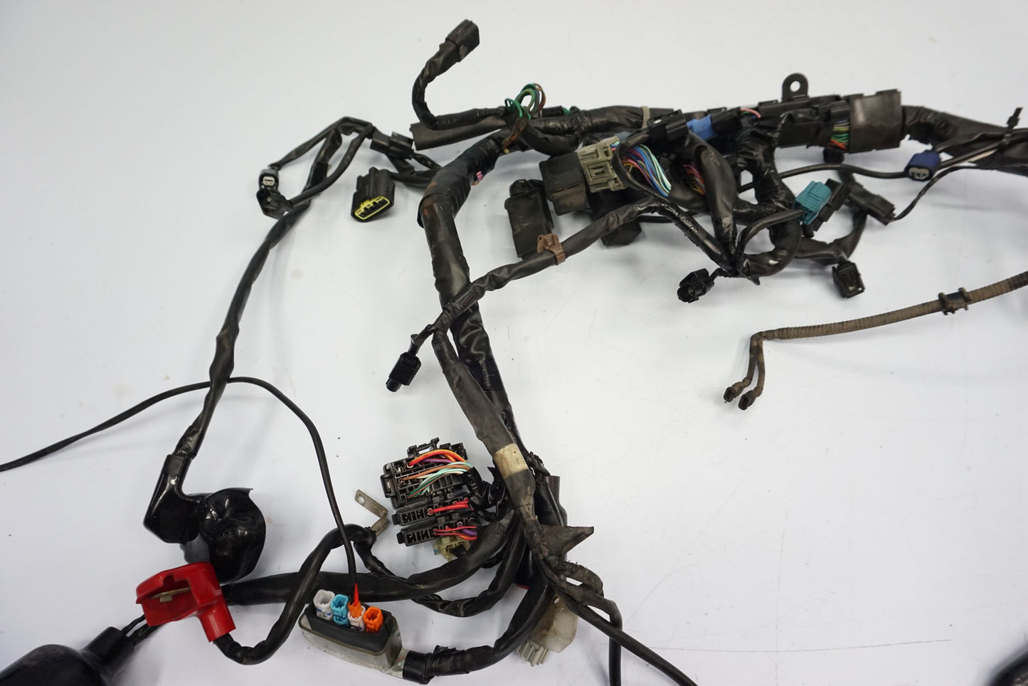 HONDA CBR 650 R 19-23 Kabelbaum Wiring Harness 7