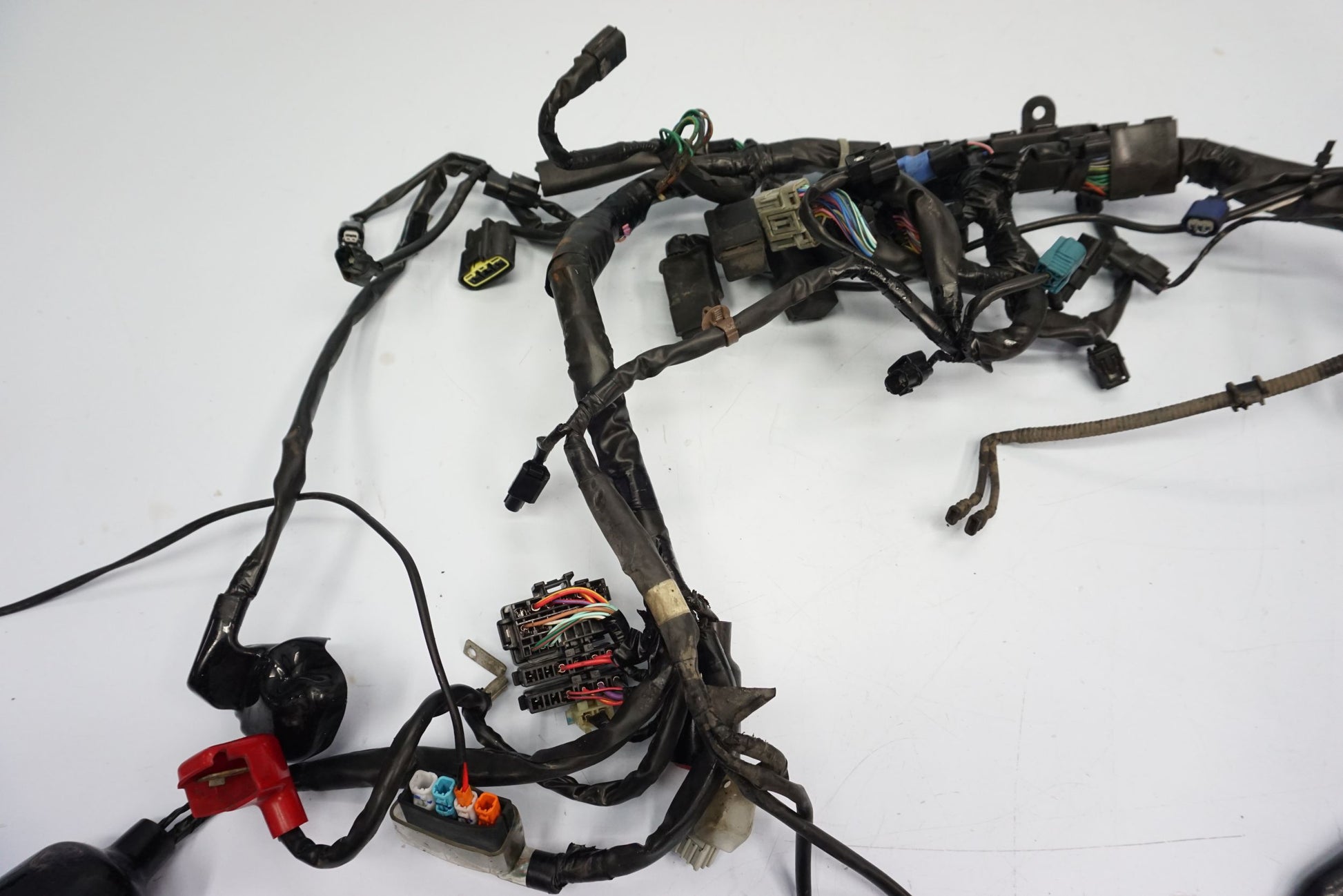 HONDA CBR 650 R 19-23 Kabelbaum Wiring Harness 7