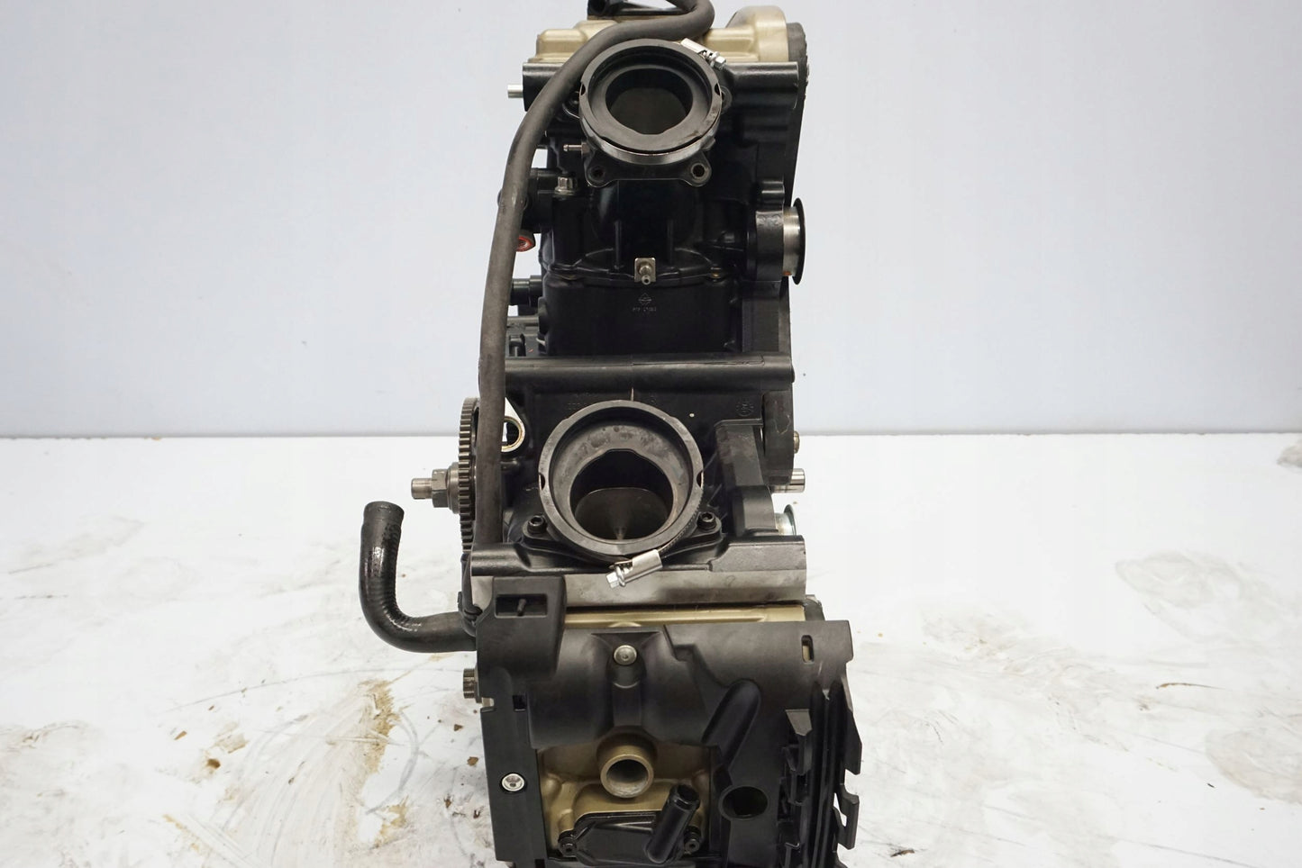 DUCATI MONSTER 821 18-20 Motor Motorblock Engine ZDM821W4O 7