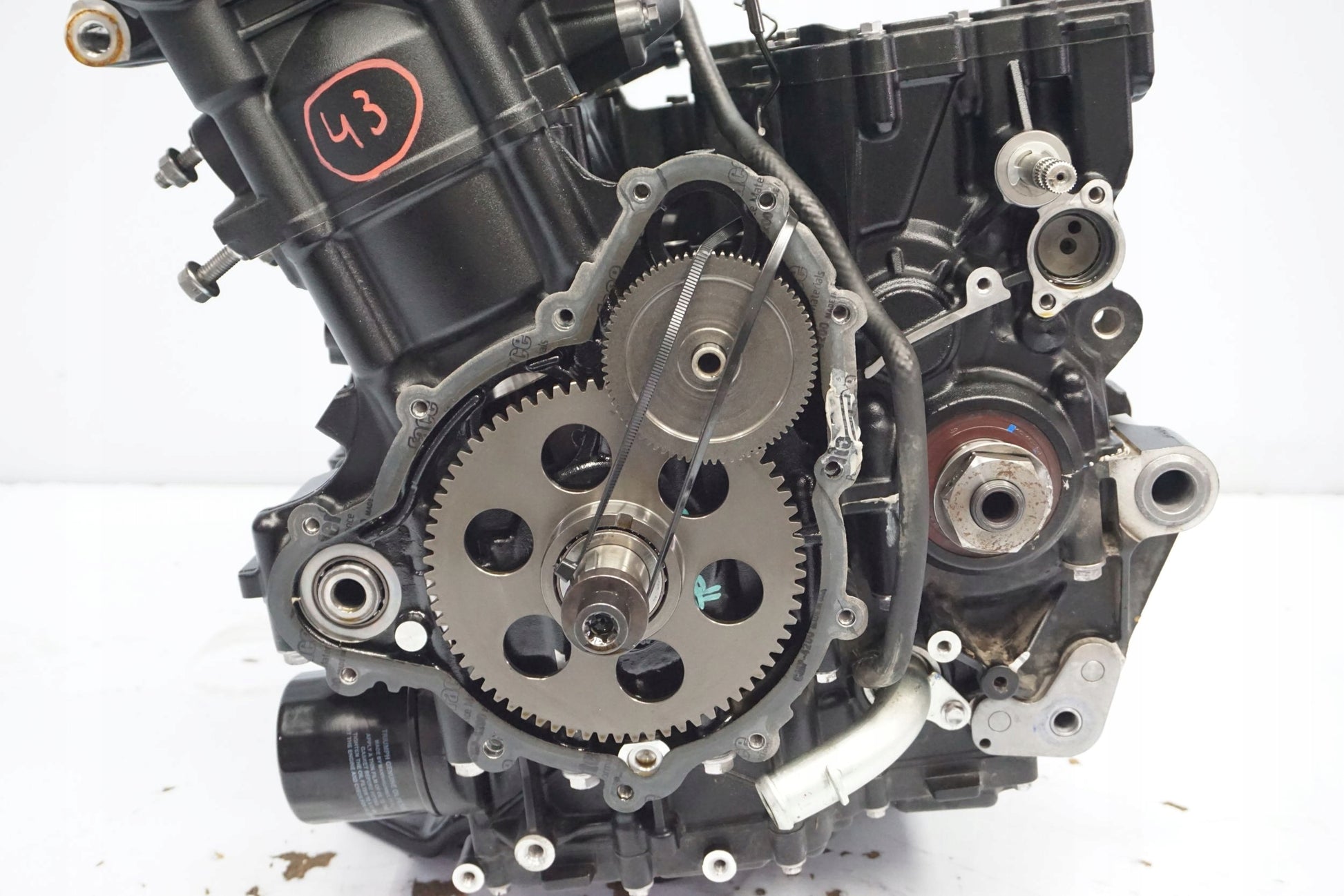 TRIUMPH TIGER 900 RALLY PRO 20- Motor Motorblock Engine 3