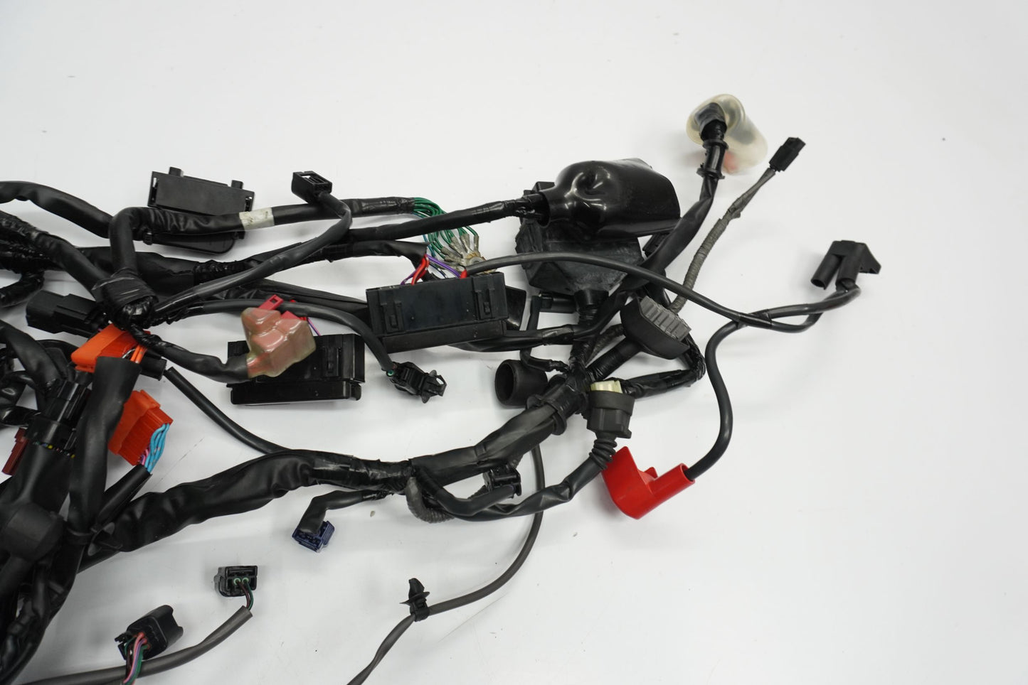 TRIUMPH STREET TRIPLE 765 17-19 Kabelbaum Wiring Harness 2