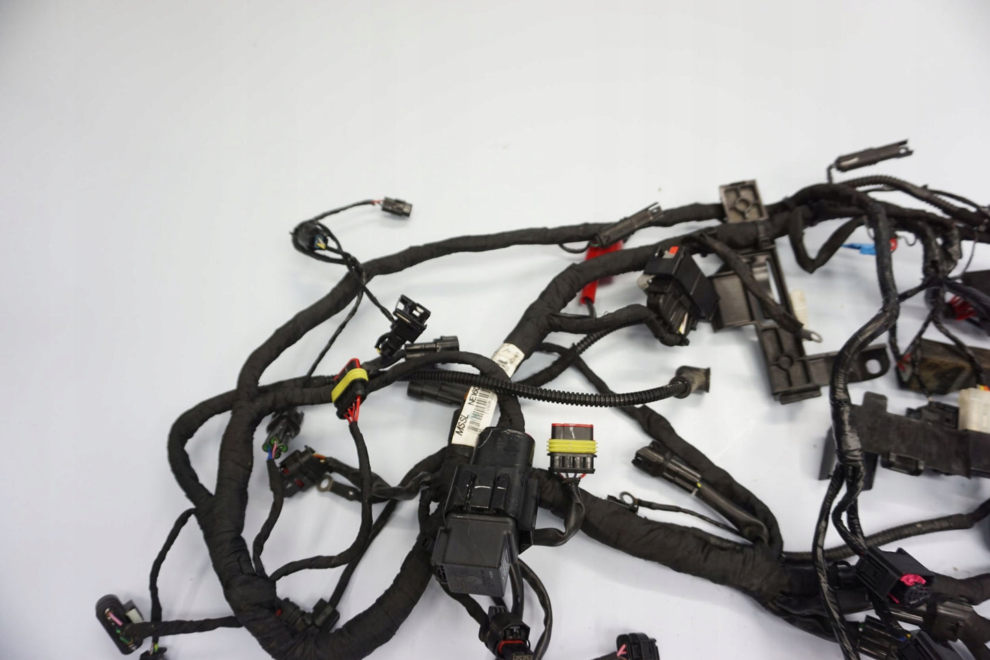 BMW G 310 GS 17- Kabelbaum Wiring Harness 5