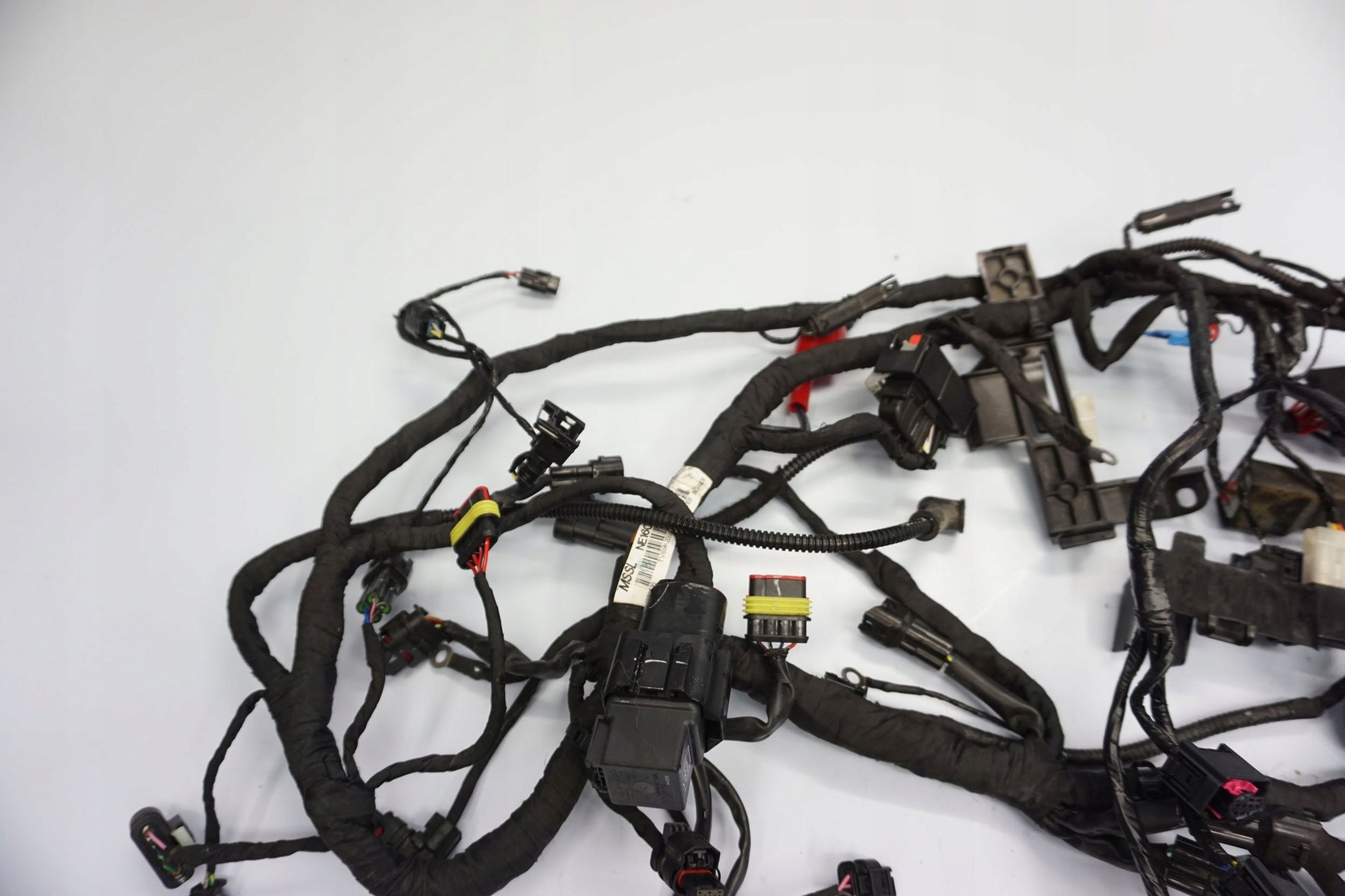 BMW G 310 GS 17- Kabelbaum Wiring Harness 5