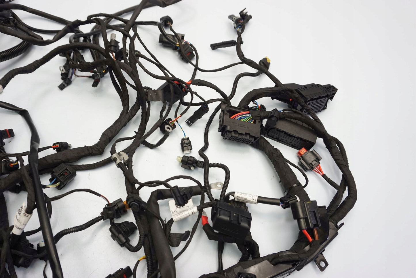 BMW F 900 R 20- Kabelbaum Wiring Harness 7