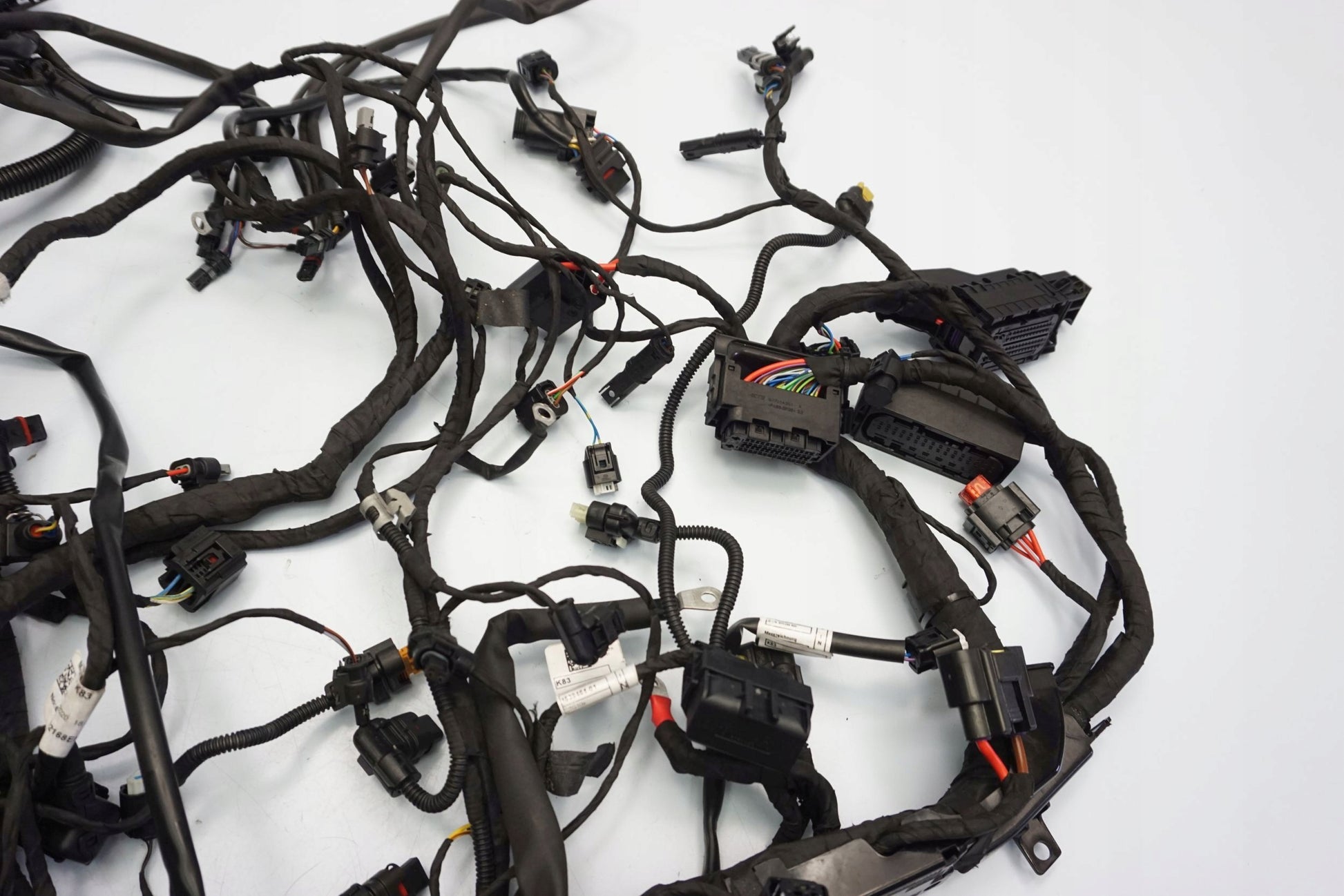 BMW F 900 R 20- Kabelbaum Wiring Harness 7