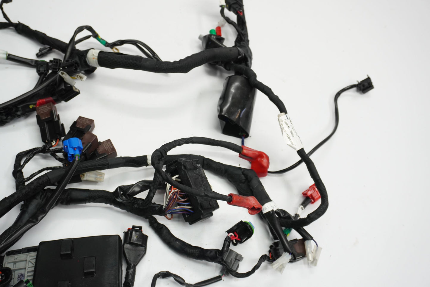KTM RC 125 24- Kabelbaum Wiring Harness 9