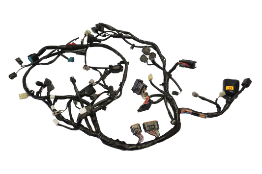 KAWASAKI Z 650 17-19 Kabelbaum Wiring Harness 1