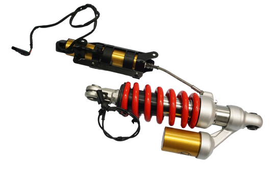 BMW F 900 R 20- Stoßdämpfer Federbein shock absorber 1