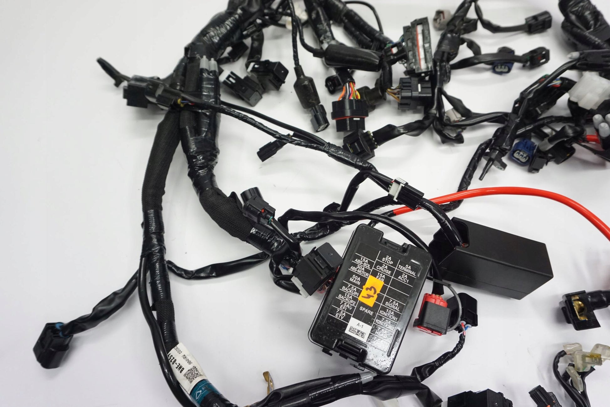 YAMAHA MT-09 24- Kabelbaum Wiring Harness 13