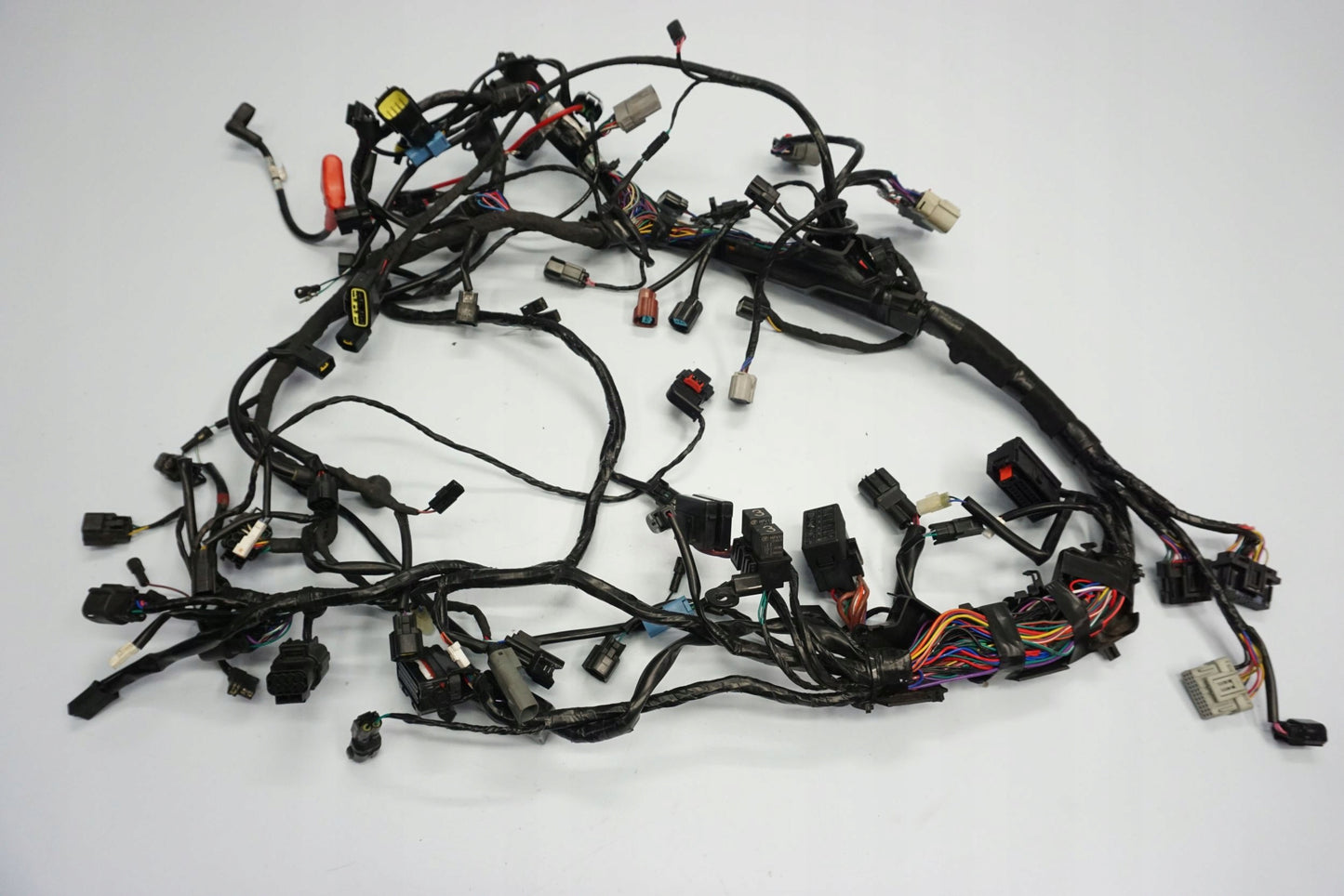 TRIUMPH TIGER 1200 RALLY EXPLORER 22- Kabelbaum Wiring Harness 2