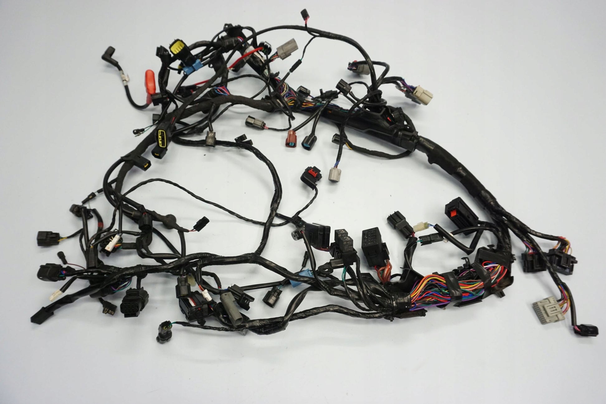 TRIUMPH TIGER 1200 RALLY EXPLORER 22- Kabelbaum Wiring Harness 2