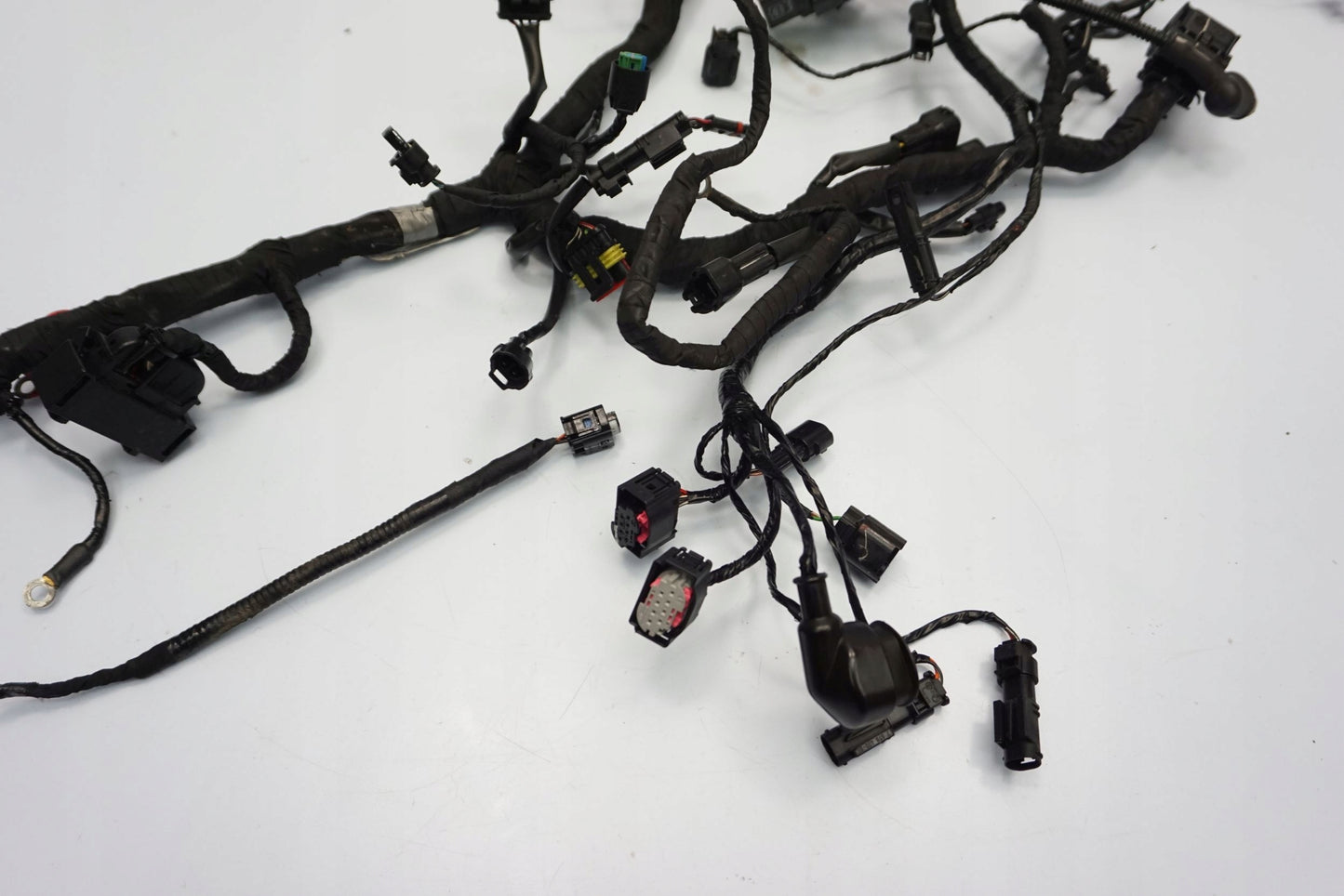BMW G 310 GS 17- Kabelbaum Wiring Harness 2