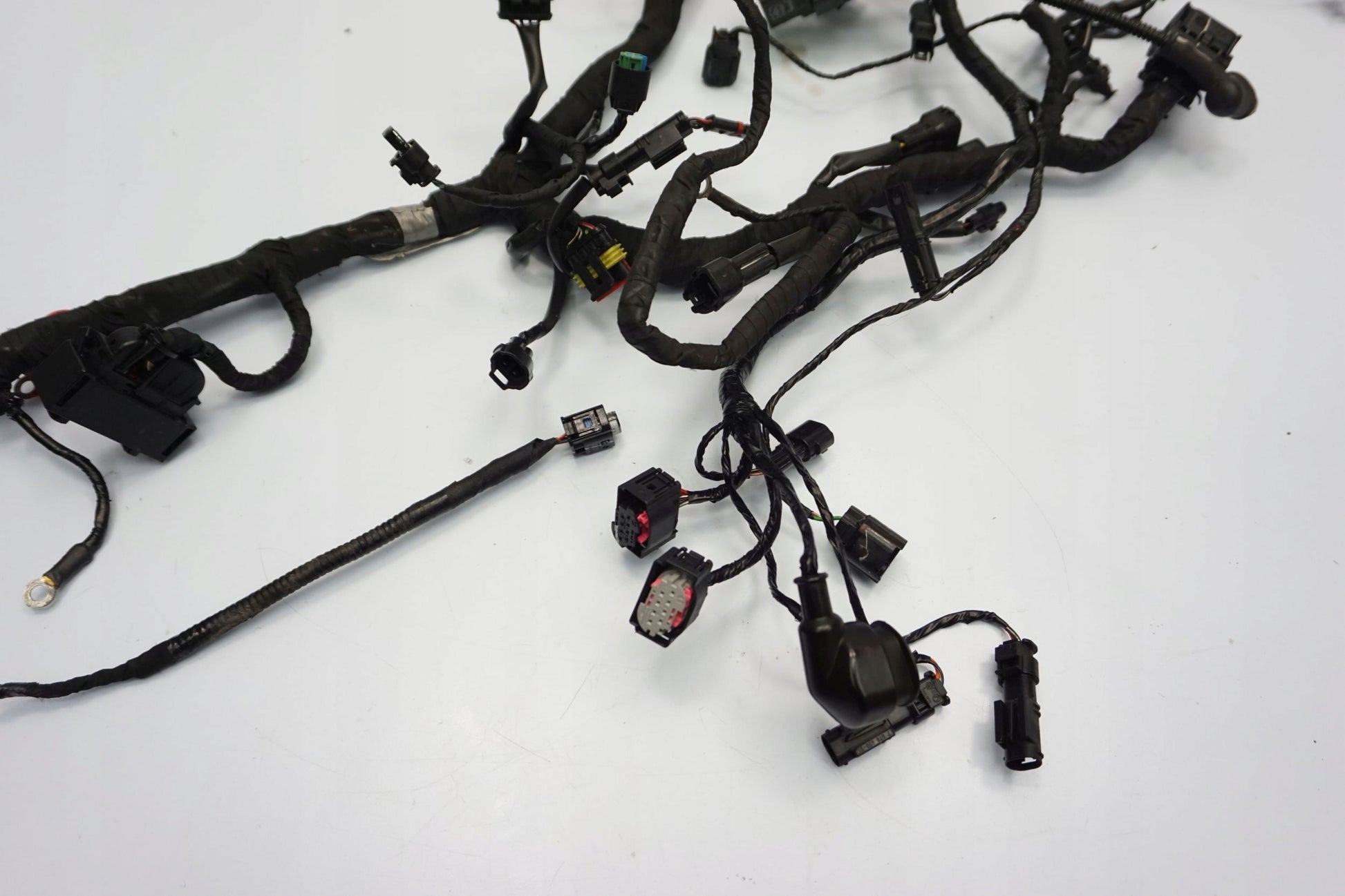 BMW G 310 GS 17- Kabelbaum Wiring Harness 2