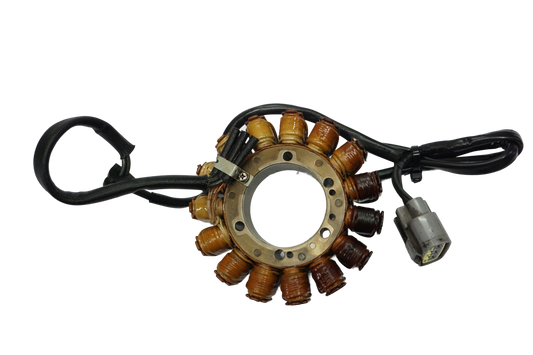 TRIUMPH TIGER 800 XC 10-14 Lichtmaschine Stator Generator Lima Alternator 1
