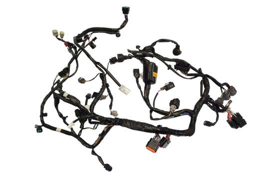 KAWASAKI Z 650 17-19 Kabelbaum Wiring Harness 1