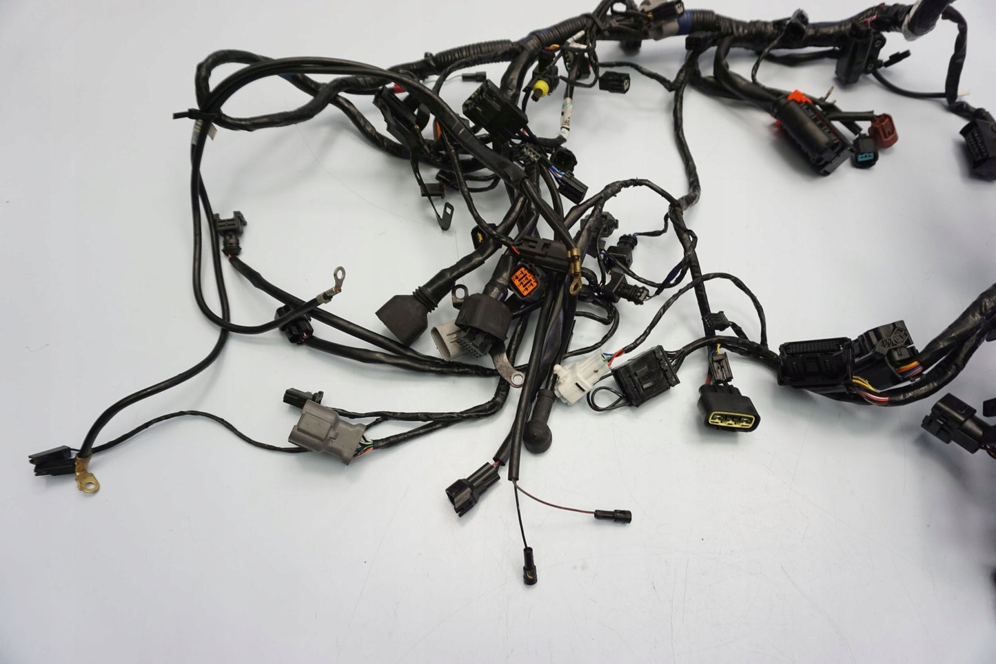 TRIUMPH TIGER SPORT 1050 16- Kabelbaum Wiring Harness 14