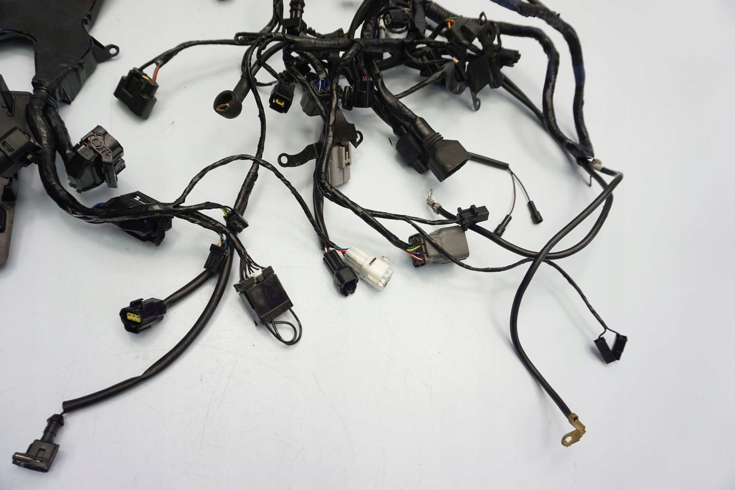 TRIUMPH TIGER SPORT 1050 16- Kabelbaum Wiring Harness 11