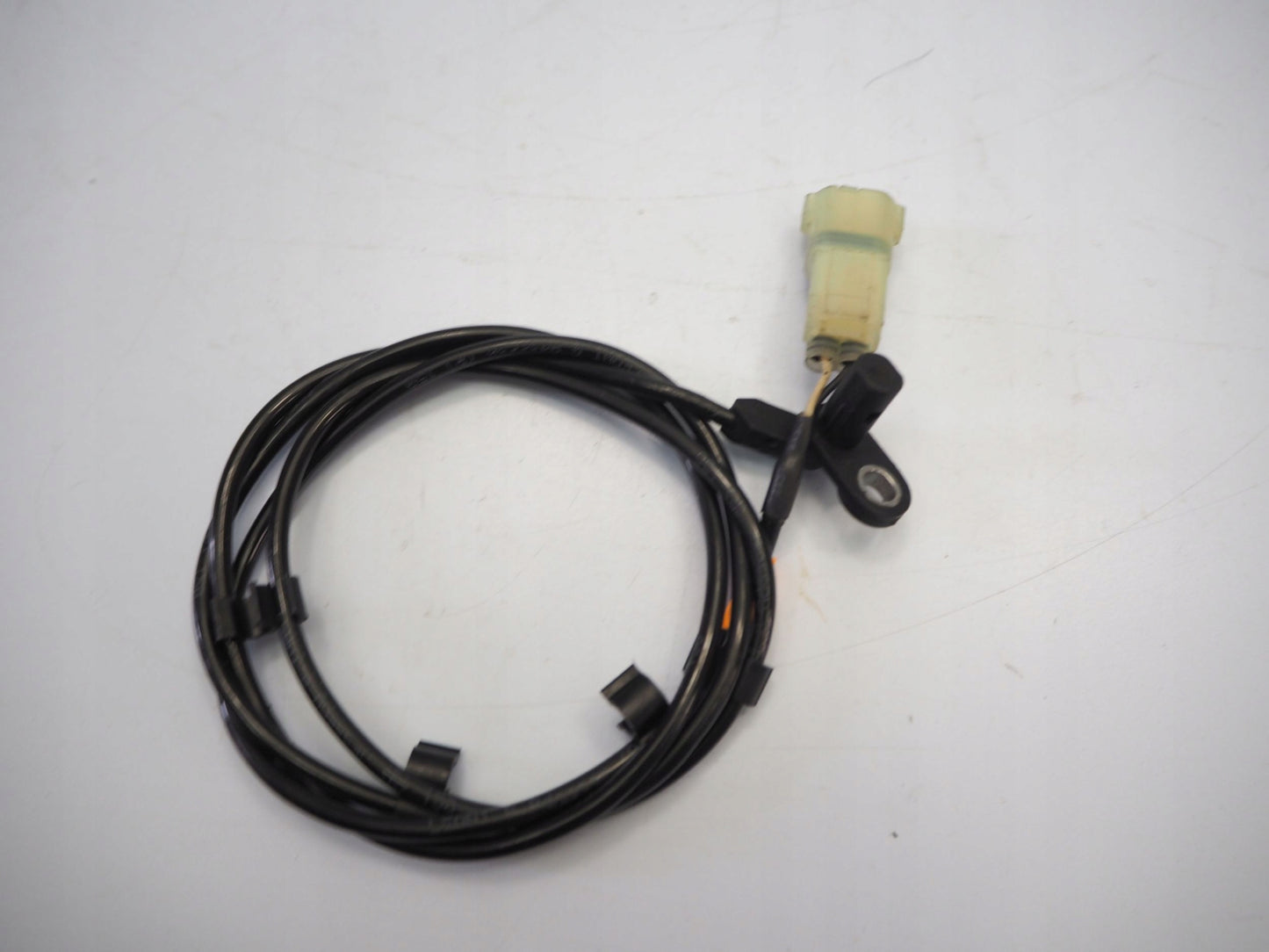 TRIUMPH TIGER 900 RALLY 20- ABS Sensor hinten