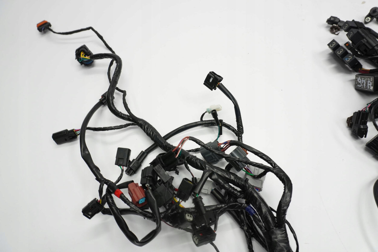 TRIUMPH TRIDENT 660 21- Kabelbaum Wiring Harness 3