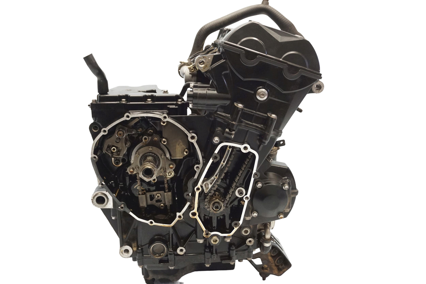 TRIUMPH TIGER 800 10-17 Motor Motorblock Engine