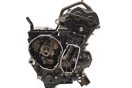 TRIUMPH TIGER 800 10-17 Motor Motorblock Engine