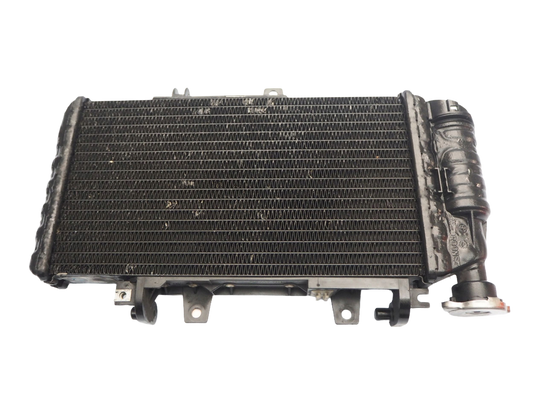 BMW F 800 ST 06-13 Wasserkühler Kühler Radiator