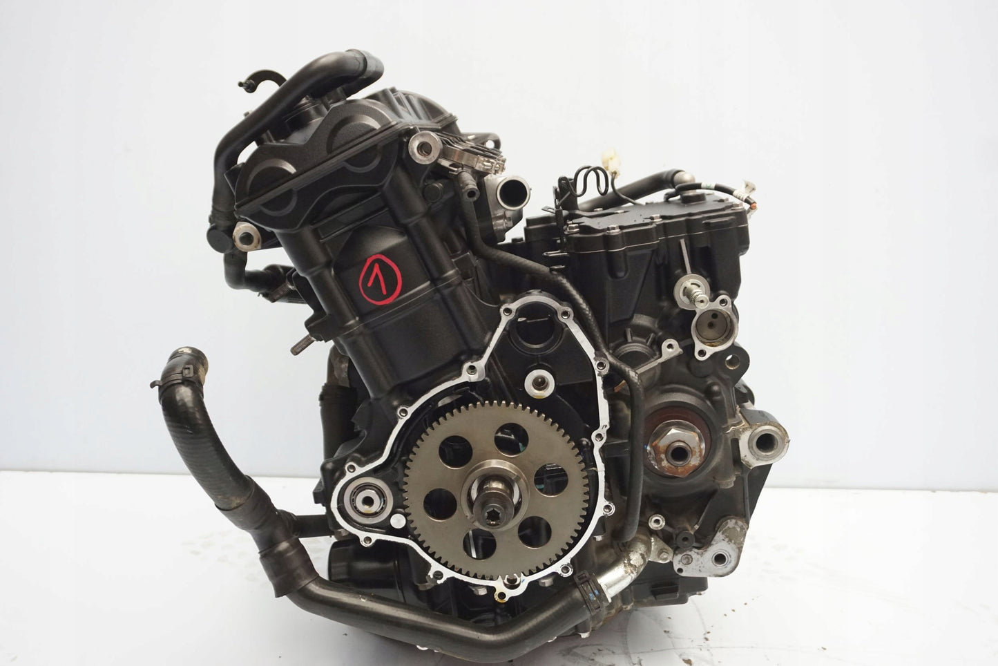 TRIUMPH TIGER 900 RALLY 20- Motor Motorblock Engine