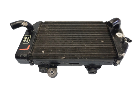 HONDA XL 700 V TRANSALP 08-11 Wasserkühler Kühler Radiator 1