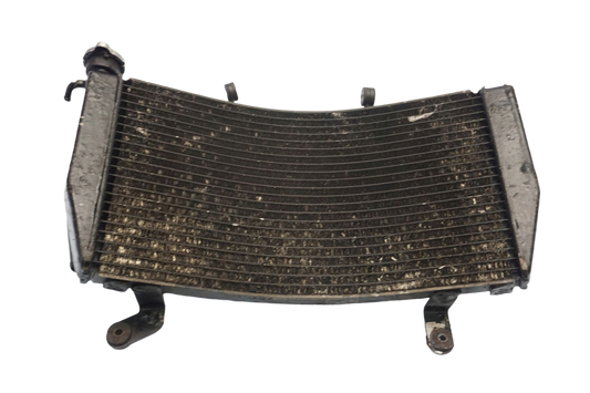HONDA ST 1300 PAN EUROPEAN 02-13 Wasserkühler Kühler Radiator 1