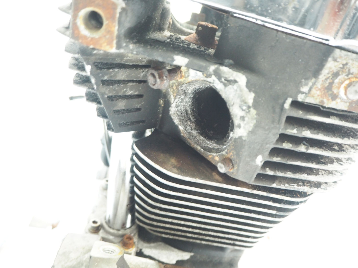 HARLEY XL 1200 SPORTSTER 04-07 Motor Motorblock Engine