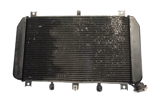KAWASAKI Z-900 17-19 Wasserkühler Kühler Radiator 1