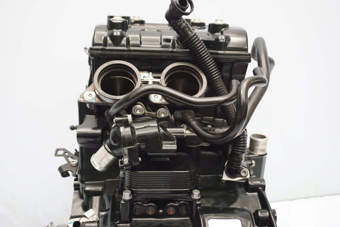 BMW F 900 R 20- Motor Motorblock Engine