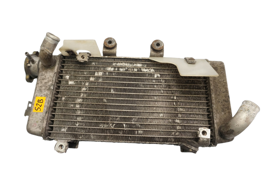 HONDA XL 1000 V VARADERO 99-02 Wasserkühler Kühler Radiator 1