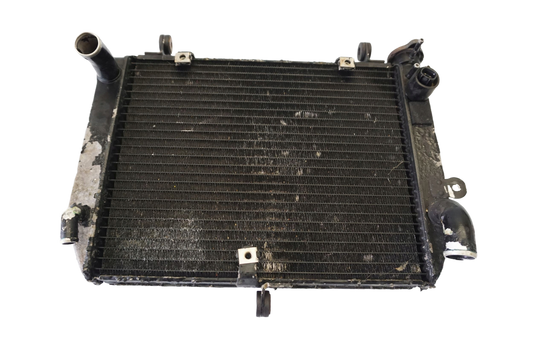 YAMAHA YZF-R6 RJ01 RJ03 99-02 Wasserkühler Kühler Radiator