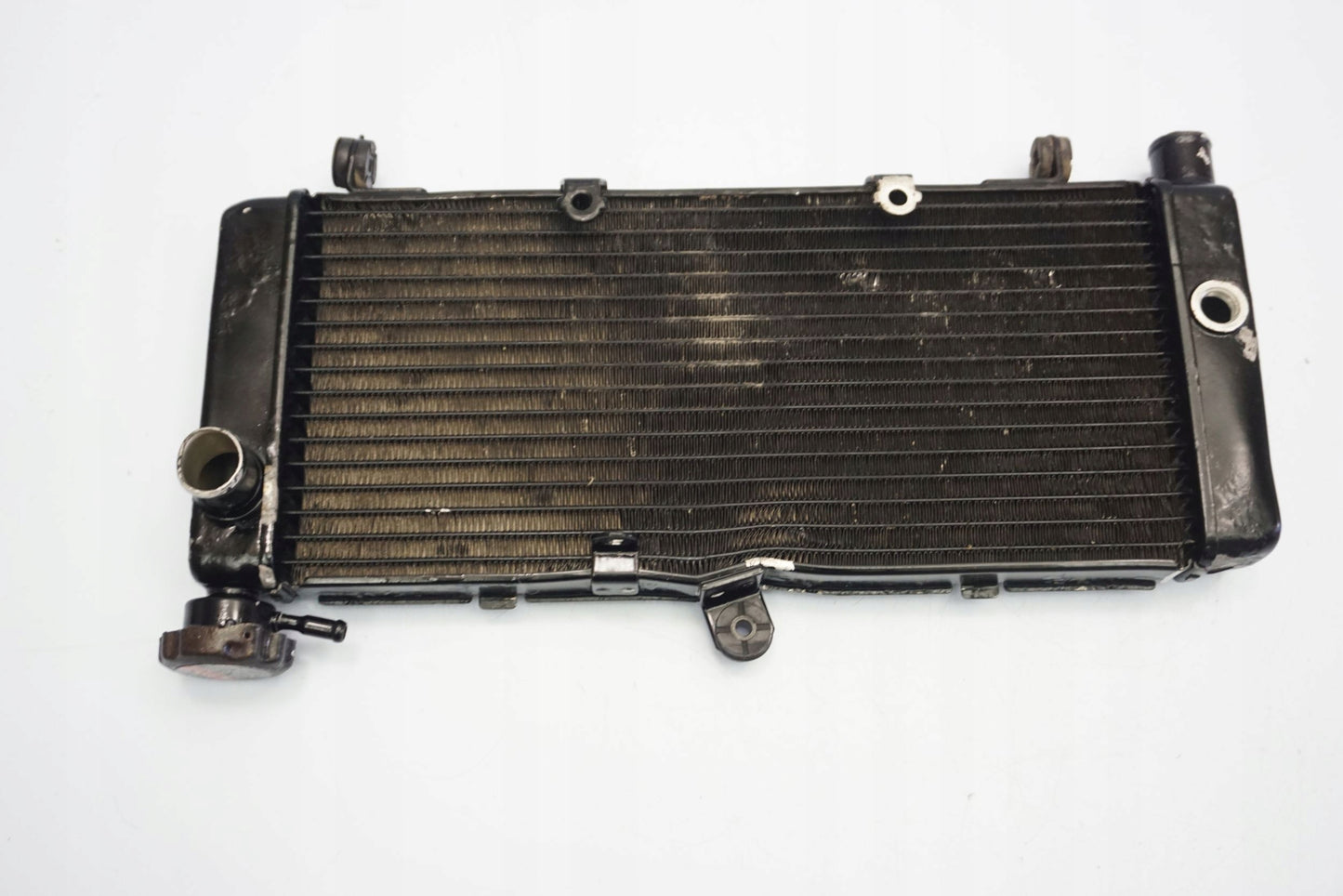 HONDA CB 600 F HORNET PC36 05-06 Wasserkühler Kühler Radiator