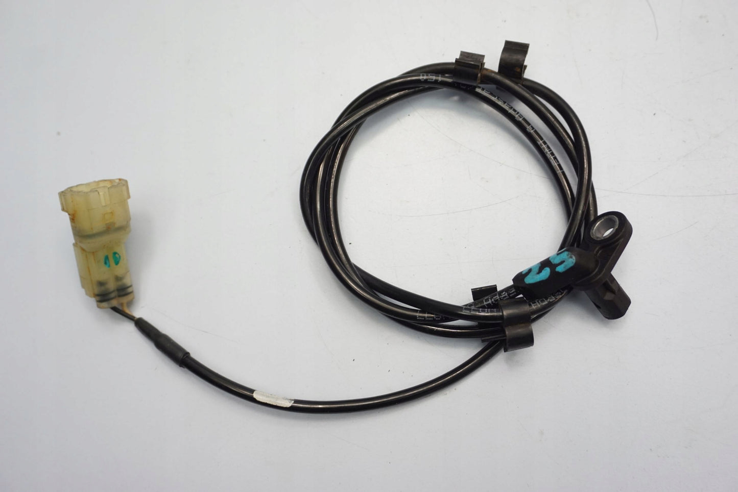 TRIUMPH TIGER 900 GT 20- ABS Sensor hinten