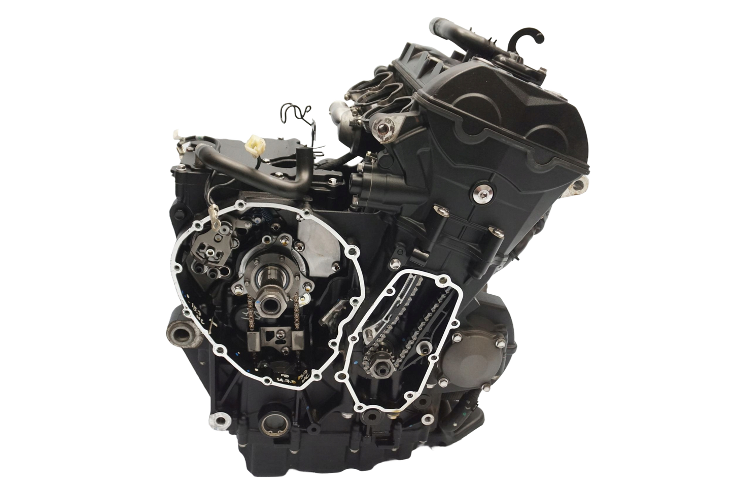 TRIUMPH TIGER 900 RALLY 20- Motor Motorblock Engine