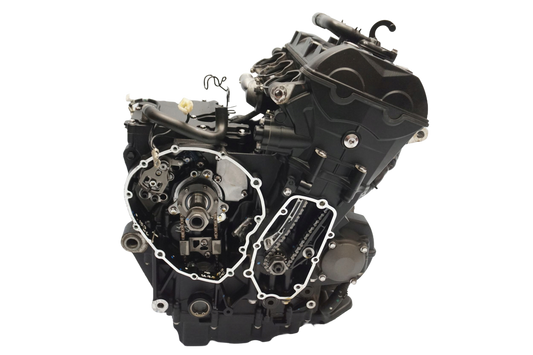 TRIUMPH TIGER 900 RALLY 20- Motor Motorblock Engine