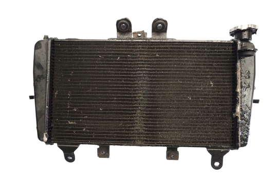 TRIUMPH TIGER SPORT 1050 16- Wasserkühler Kühler Radiator