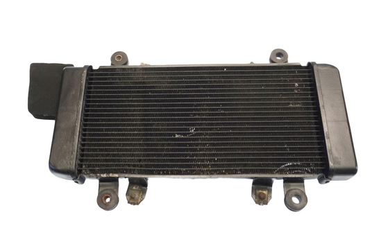 KAWASAKI Z-300 15-18 Wasserkühler Kühler Radiator 1