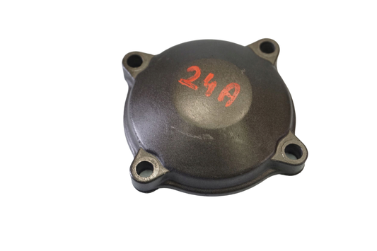 TRIUMPH TIGER 900 RALLY 20- Motordeckel Engine Cover